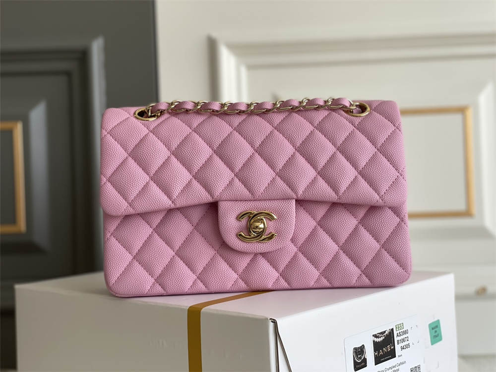 Chanel classic flap 23cm 2025 new 